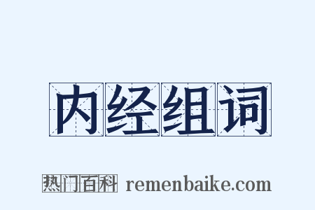 内经组词是什么意思的图片
